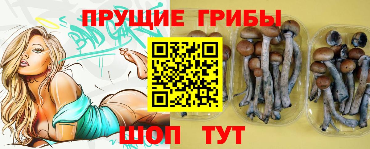 Галлюциногенные грибы ЛСД Туймазы